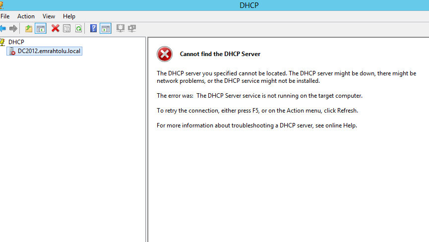DHCP41