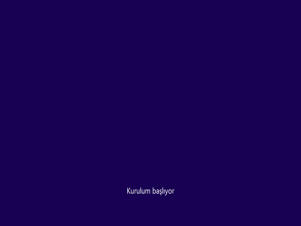 windows10kurulum3