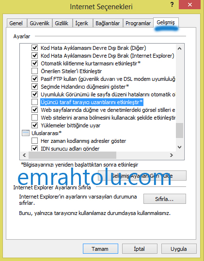 internet explorer çalışmayı durdurdu hatası çözüm